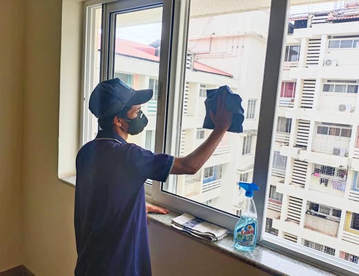 Window Cleaning Services